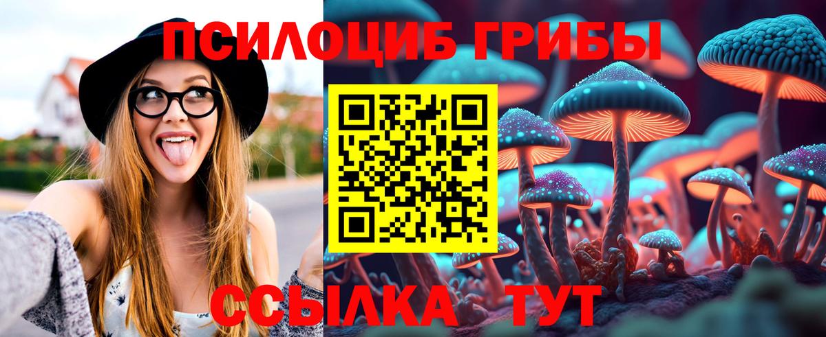 Наро-Фоминск  Псилоцибиновые грибы MAGIC MUSHROOMS  Галлюциногенные грибы мицелий  Вход с VPN 