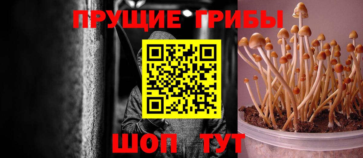 Галлюциногенные грибы MAGIC MUSHROOMS Наро-Фоминск